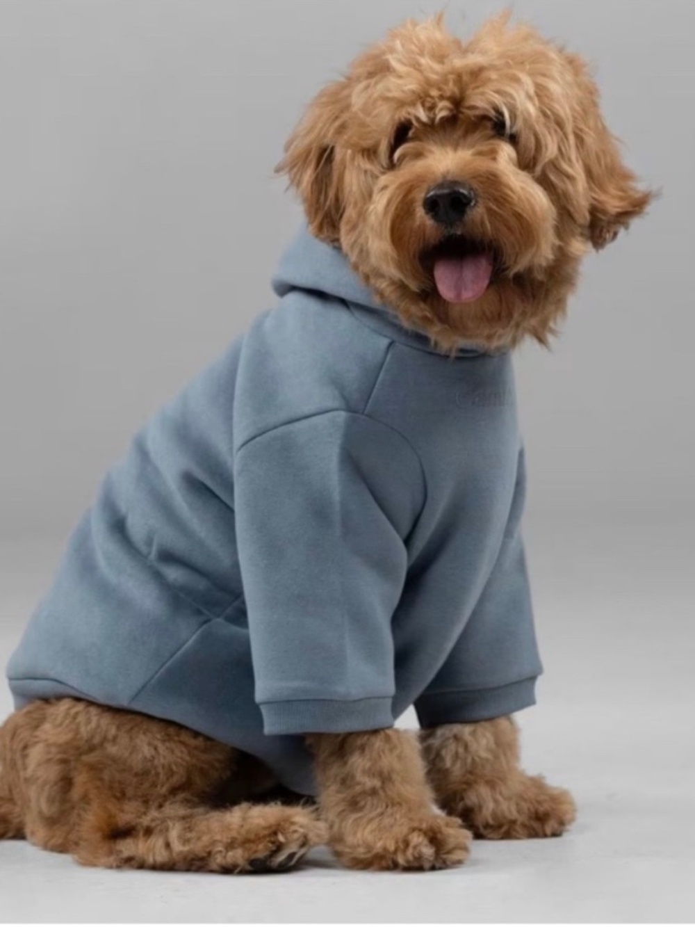 Comfrt signature paw dog hoodie XL